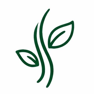 Ayurvedic hair care treatment for hair growth and scalp health