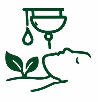 Panchakarma Ayurvedic detox therapy for body cleansing and healing