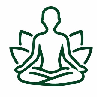 Ayurvedic wellness and detox therapies for relaxation and overall health